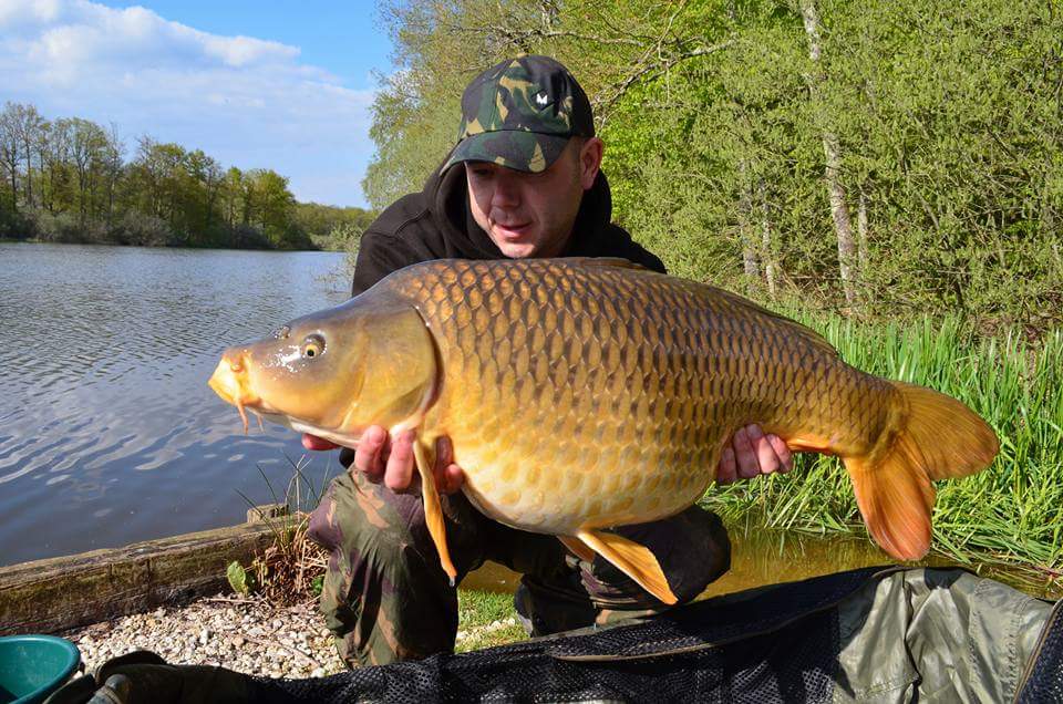 SharpTackle's tweet photo. Scott Geezer grant with a 30lb common and a French pb common curveshank doing the damage! #sharptackle https://t.co/g5O2RyBQ2X