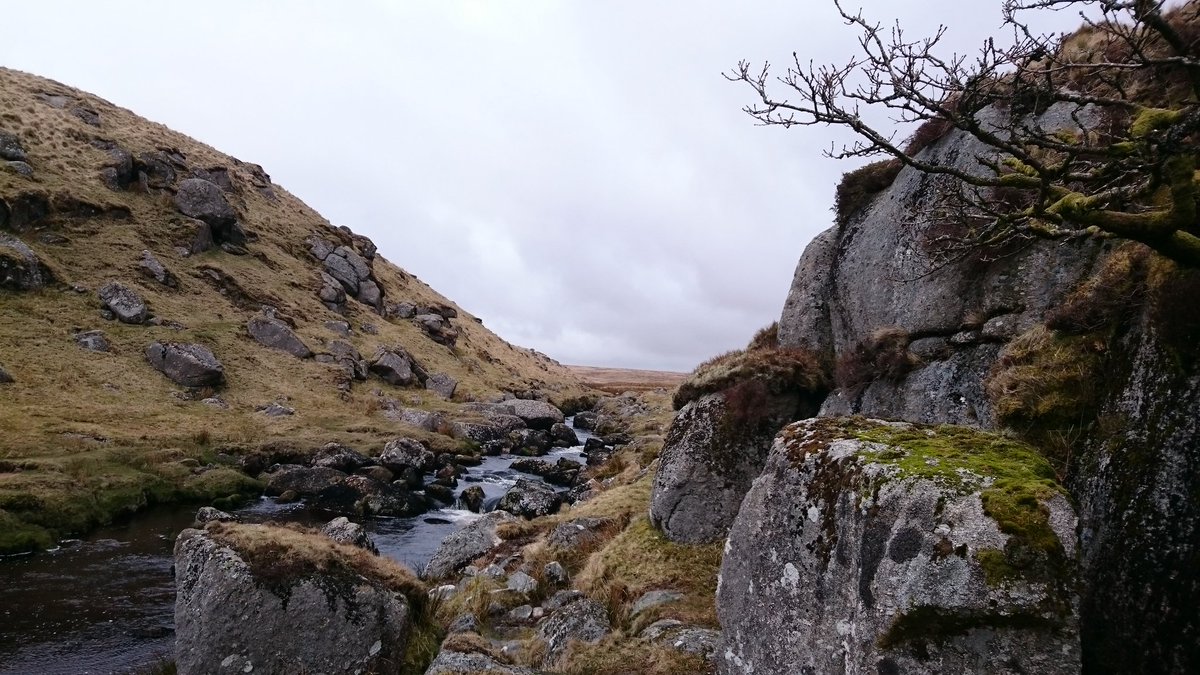 Exploring Dartmoor's rivers with the family? You need a copy of 'Dart the River' from <a href="/dartmoornpa/">Dartmoor National Park</a> visitor centres!
