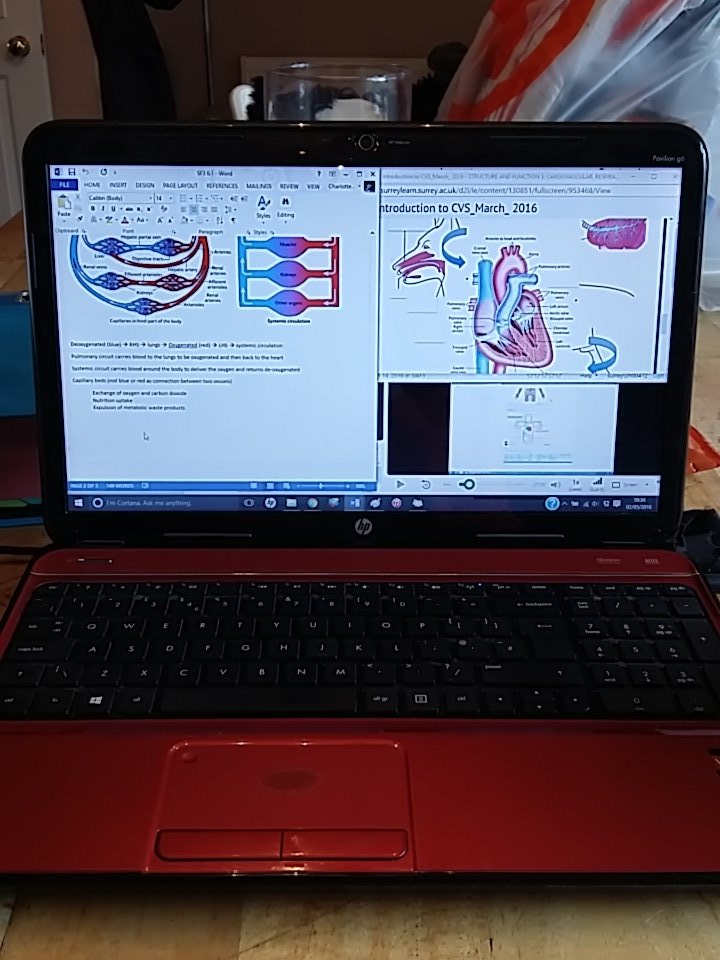 CharlotteHW's tweet photo. This bank holiday all I want to do is lie in bed and watch @TheEllenShow but instead this... :( #vetstudent https://t.co/jUKU7zXbFU