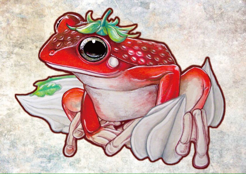 熱帯雨林カエル Hikita0603 リアルな絵柄なのに可愛いってどういう事 気に入りました Twitter