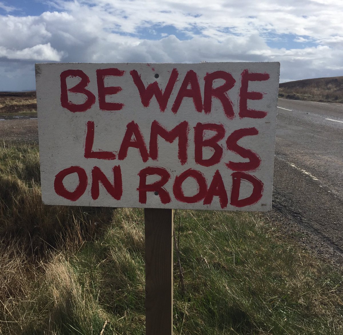 BTP3DOTE_Route1's tweet photo. We are hoping this sign was written in paint.. #coastbusters #3dote https://t.co/6oYapPThX4