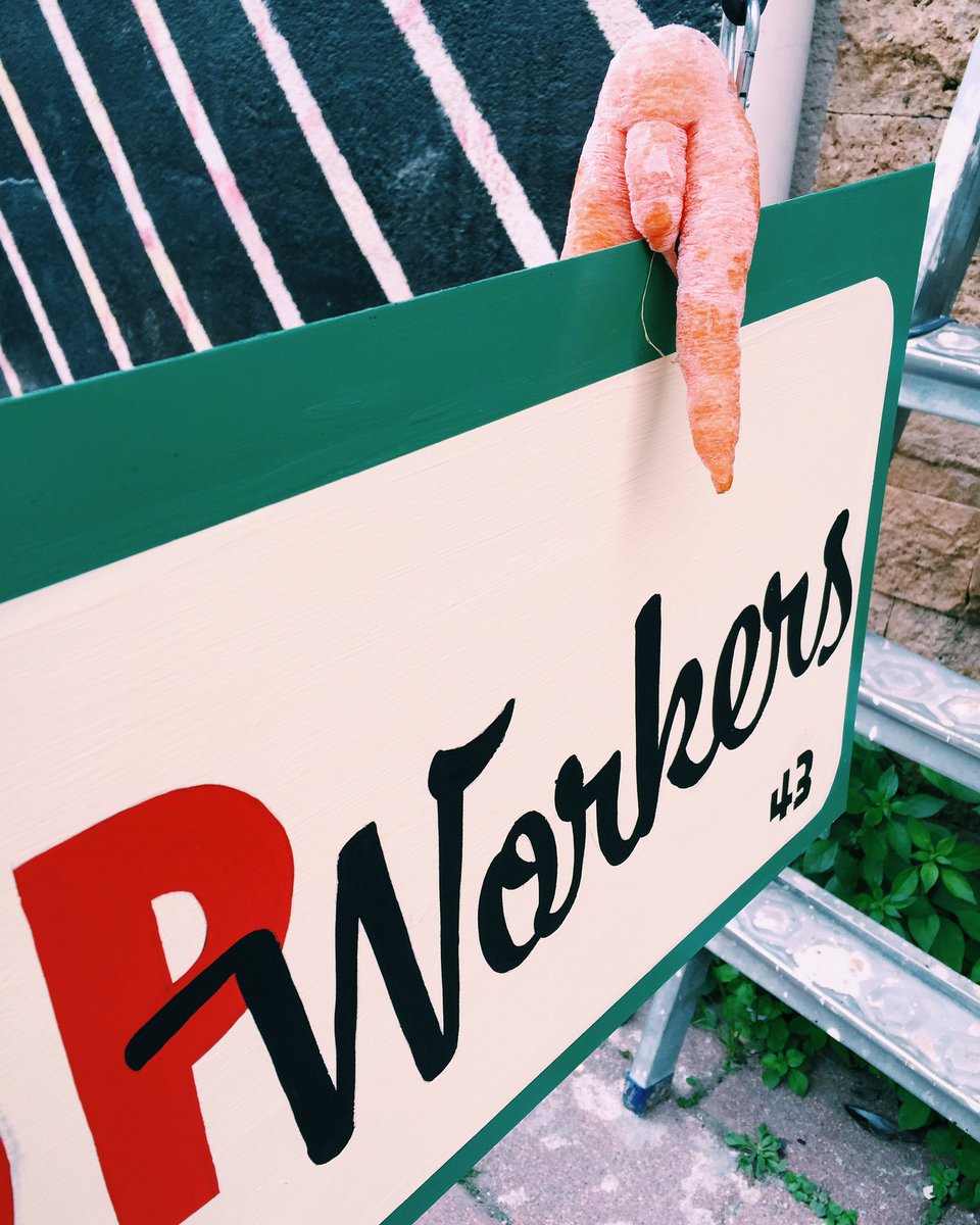 Organik Baysal tabelamızın son kontrollerini yapıyor. #letspopyourwork #organicveggies #carrot #havuç #officehours