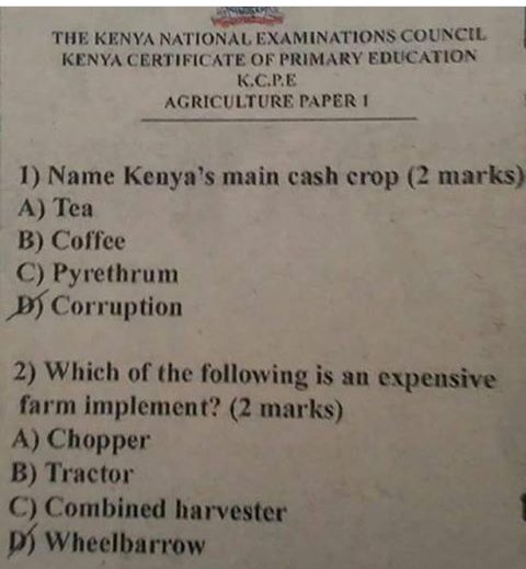 AnnyMaina's tweet photo. #ThemDaysOnOpeningDay..opening exam after holiday then watu wa business tuliambiwa news and newspapers tuwe marafiki https://t.co/TzrufRXR1s