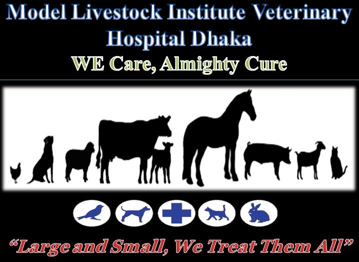 It is also engaged with consultancy, disease diagnosis and treatment of domestic animals, pets and birds.