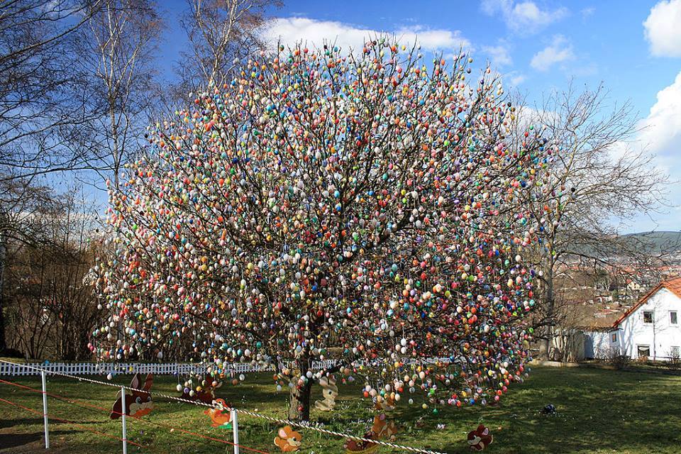 PromoteUkraine's tweet photo. That is how you decorate your tree for #Easter in #Ukraine. Get inspied! #Eastertree #easterorthodox https://t.co/UMI7vfifAI