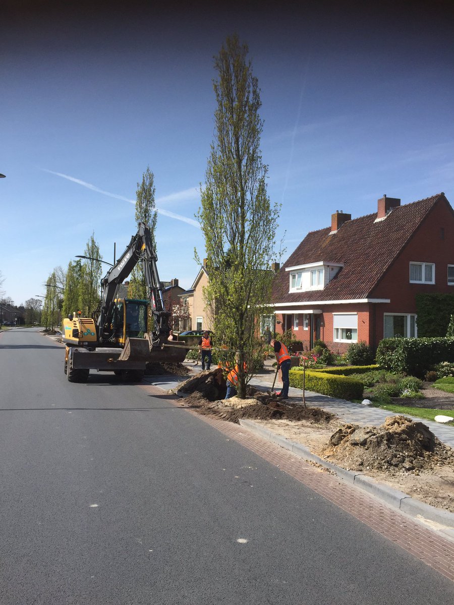 Rob van der Werf tweet media