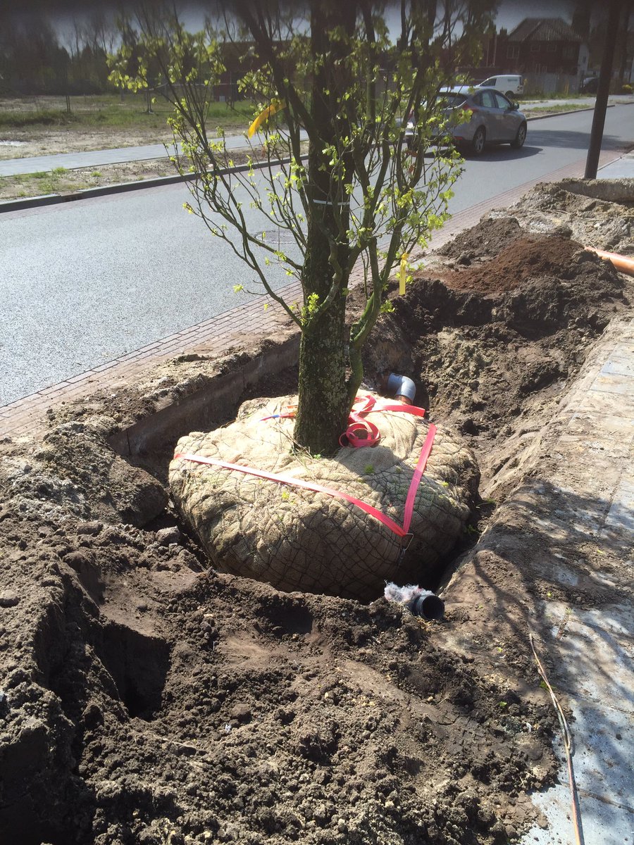 Rob van der Werf tweet media