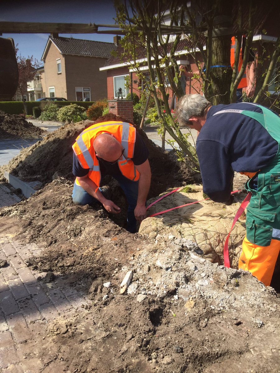 Rob van der Werf tweet media