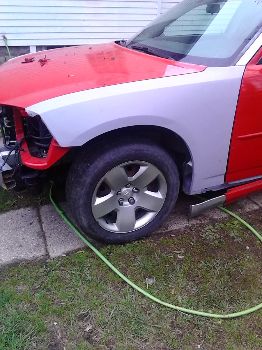 ShonShepherd's tweet image. 