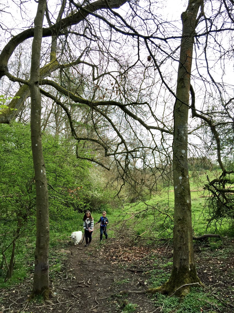 Cotswolds Concierge tweet media