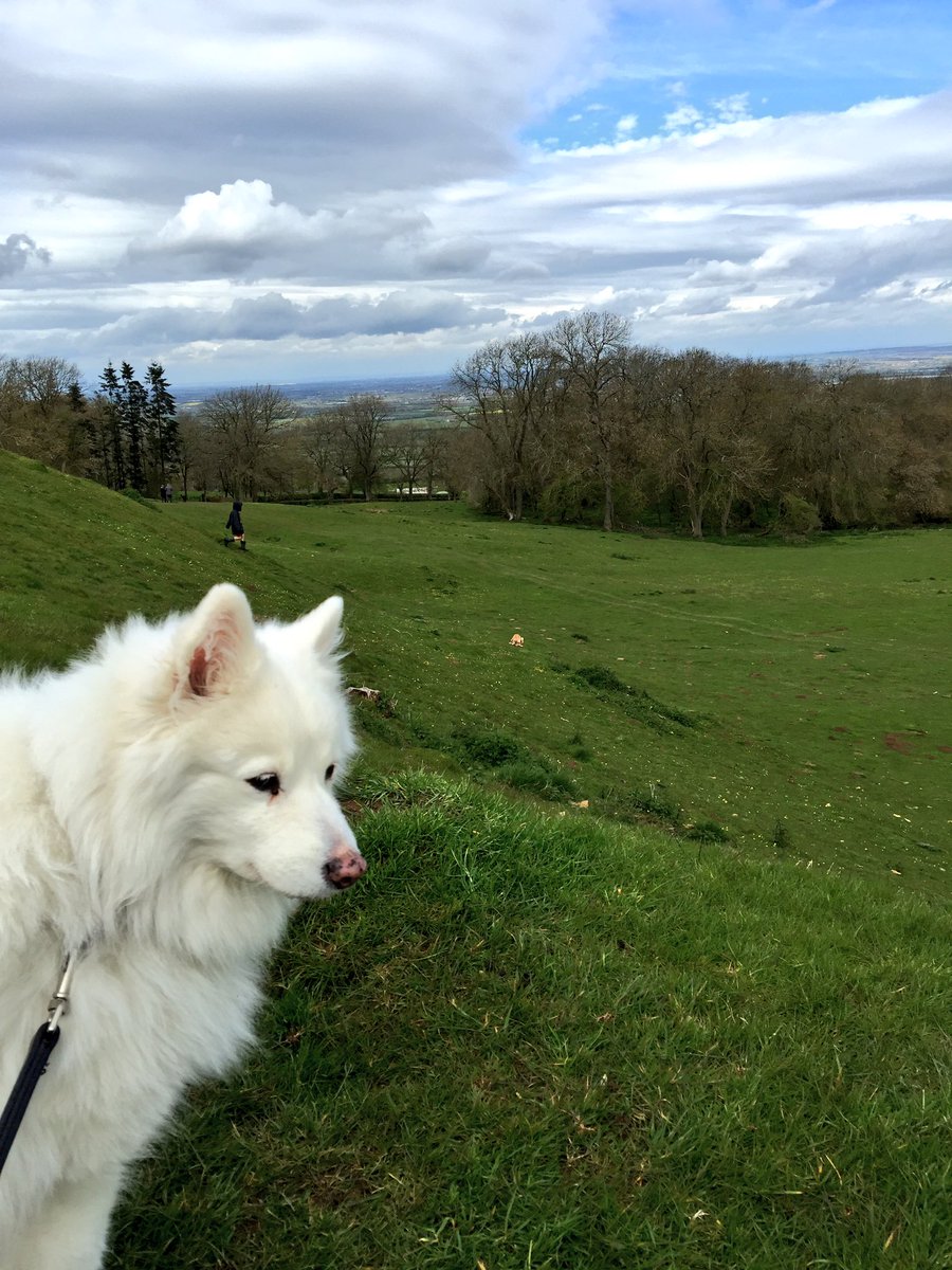 Cotswolds Concierge tweet media