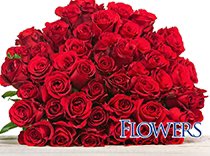 TCS_MangoTango's tweet photo. Looking for the #perfect #mothersday #gift? Go to @TCS_SE! #cakes #sweets #flowers #perfumes #sentimentsexpress https://t.co/wJU6eeepIa