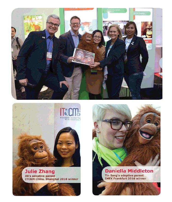 ICCAWorld tweet picture