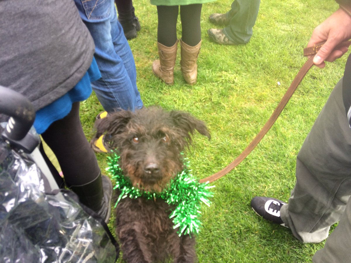 JerichoJess's tweet photo. The #HastingsPier Charity have agreed to allow well-behaved dogs on the pier all year round! #DoggiePower https://t.co/H4QTgdmGmm