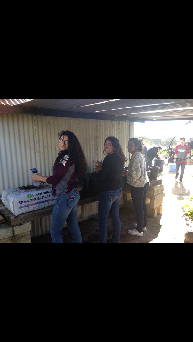 Strathmore High ASB tweet media