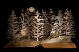 amandersonlibrarian tweet media