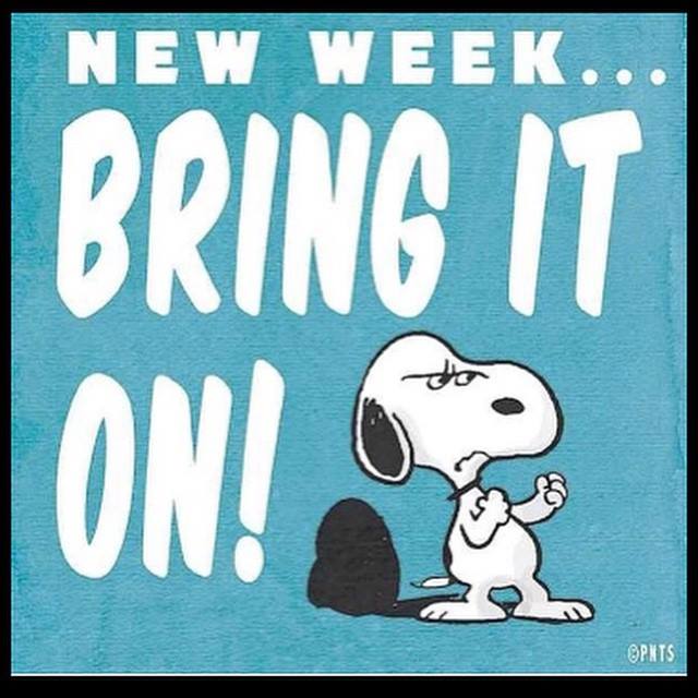 EcuadorDon's tweet photo. @LiberatorMMXVI Hi David! My Computer Has A Spanish Program / A Gringo KeyBoard! "Poetry In Motion!" Super Fun?? https://t.co/RcSS3NmbUi