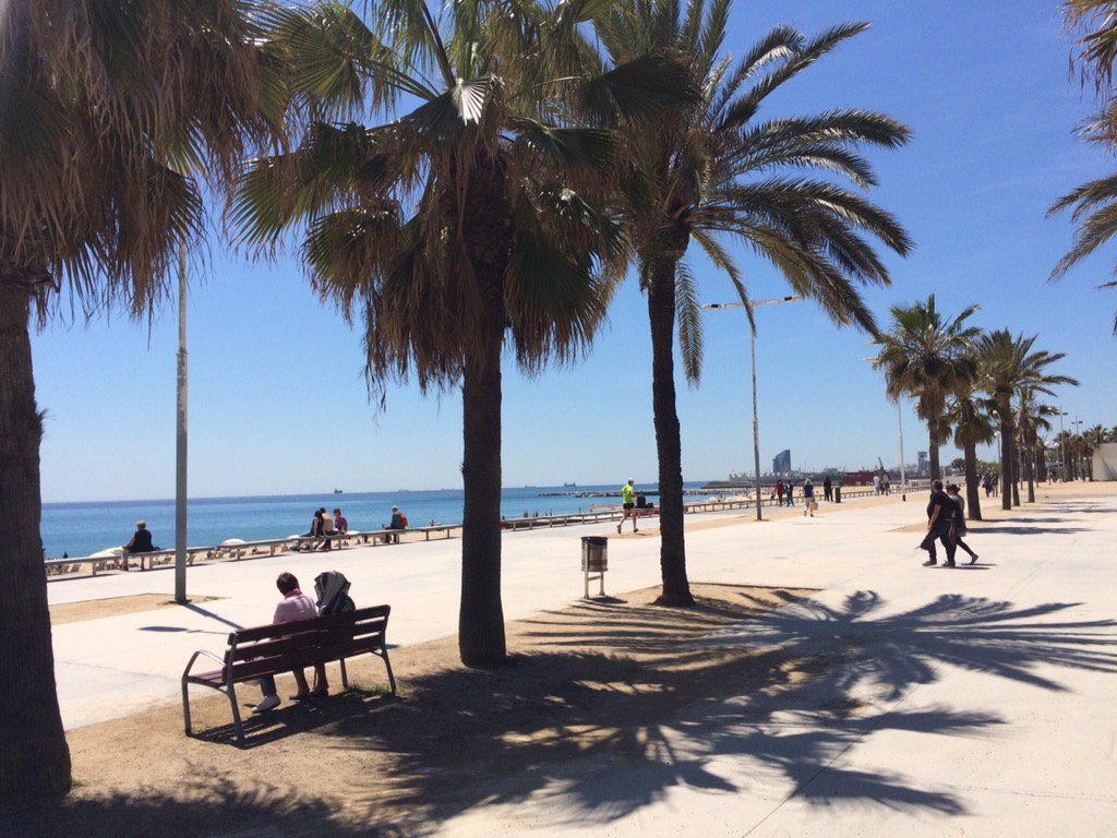 RTWOrthoDoc's tweet photo. The day after...ending an amazing 9 days of #cycleforscience. We all arrived safely in Barca; a reason to party! โ๏ธ https://t.co/mQIsuzKEU6