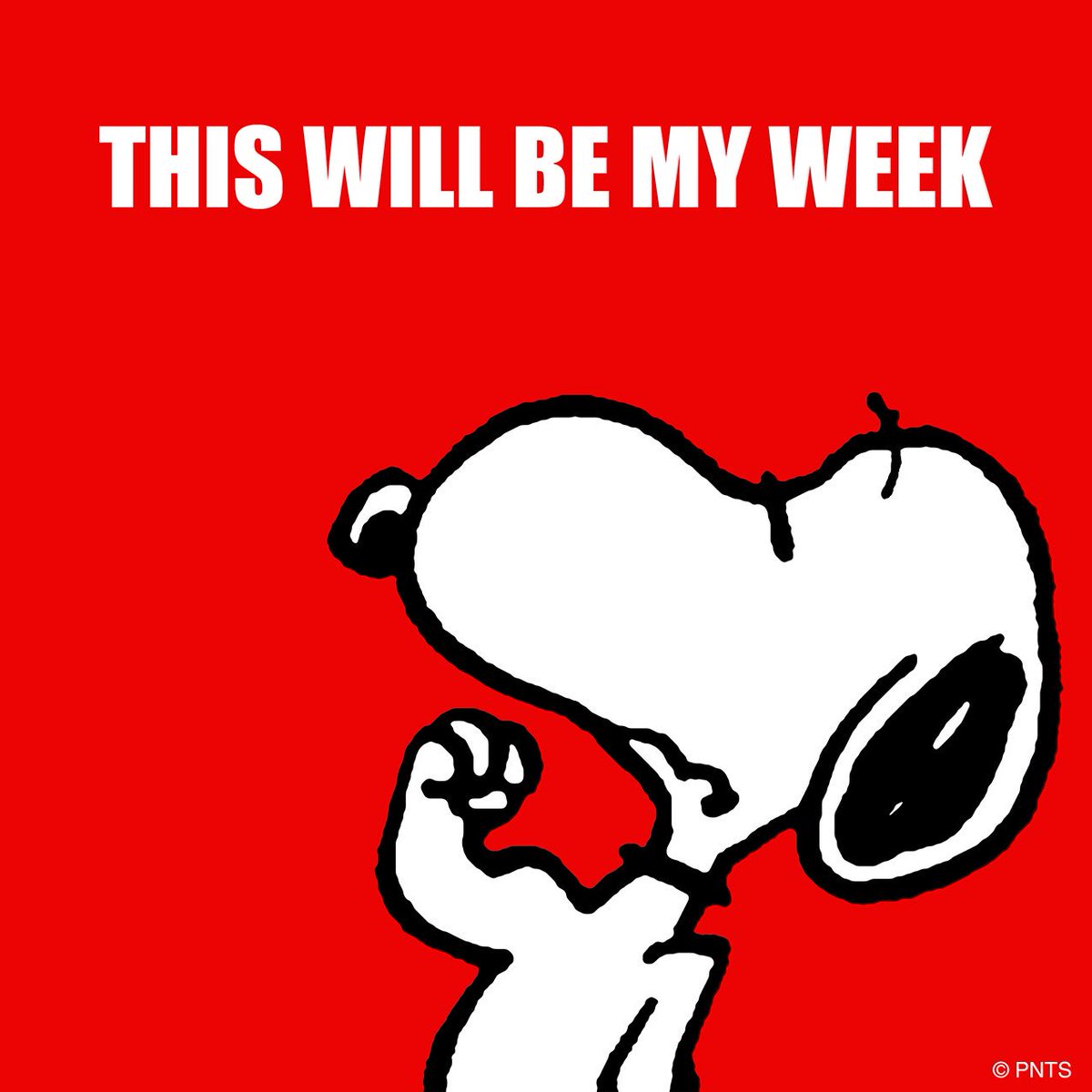 Snoopy's tweet photo. This will be my week! https://t.co/y2t21b5f4C