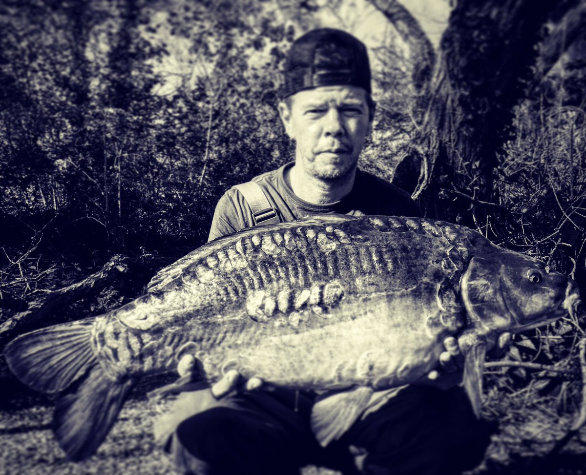 ski35's tweet photo. #carp https://t.co/D7TTSW12rr