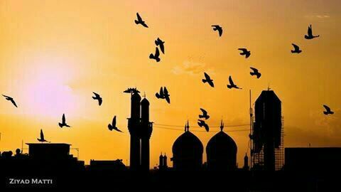 NOoR12Q's tweet photo. على شباج سجنك غافيــه طيــور
سلام .. ومعرفة .. ونور ..واصرار
مدارس باب سجنك تصنع اجيال
ولحد يوم القيامه تخرج احــرار https://t.co/6Oy0KWChCH