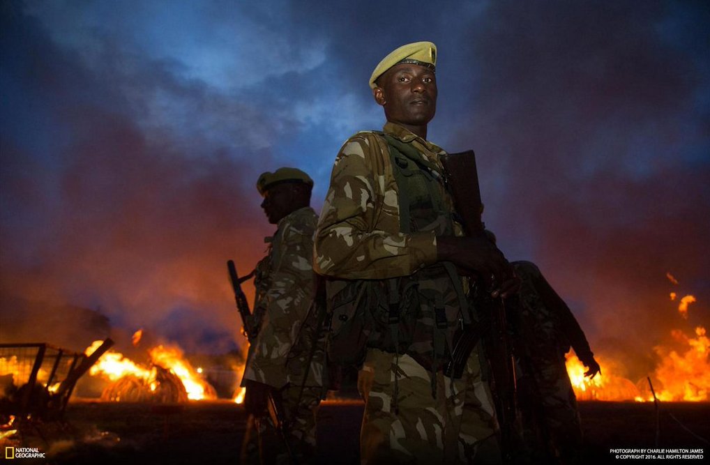 ICYMI: See photos from Kenya's record-breaking ivory burn from the weekend. on.natgeo.com/26KwXCP