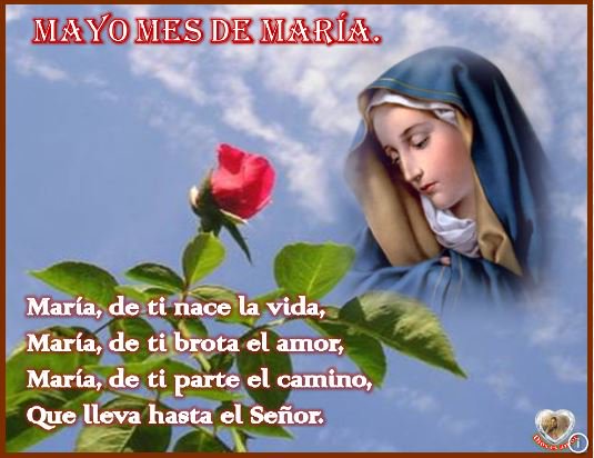 catolicossanto1's tweet photo. #FelizLunes 
Buenas tardes hermanos católicos https://t.co/hMgCCVTRWc