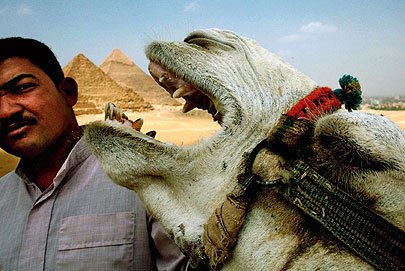planetknowledge's tweet photo. Welcome to #Egypt Month on Planet Knowledge! What does Egypt mean to you, send us your pics with #planetknowledge https://t.co/sUUzqcjXZe