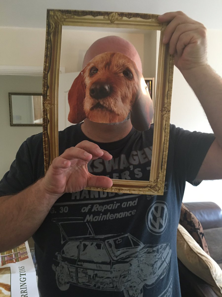 DARRENKANE4's tweet photo. #iloveharringtons @HarringtonsPets https://t.co/bnBtN34qx4