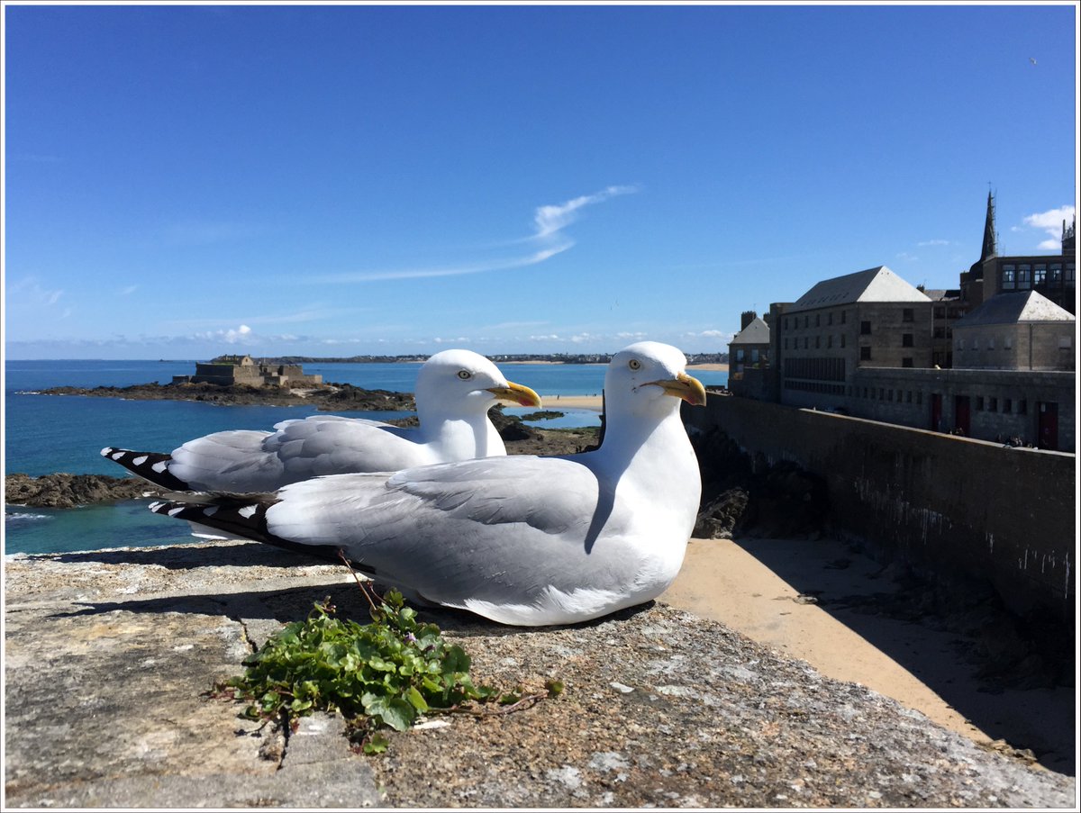 ErleSandrine's tweet photo. #SaintMalo #Bretagne https://t.co/gkKK9QNc10