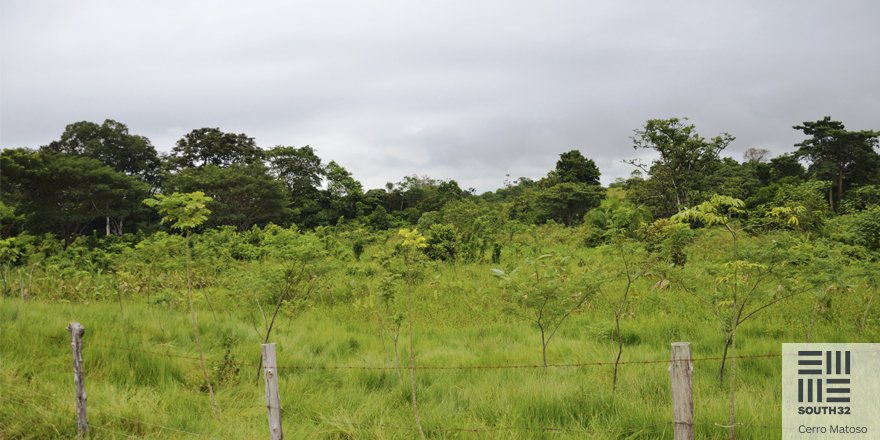 Como compensación a las áreas  que utilizamos en los procesos, transformamos antiguas fincas en nuevos bosques.