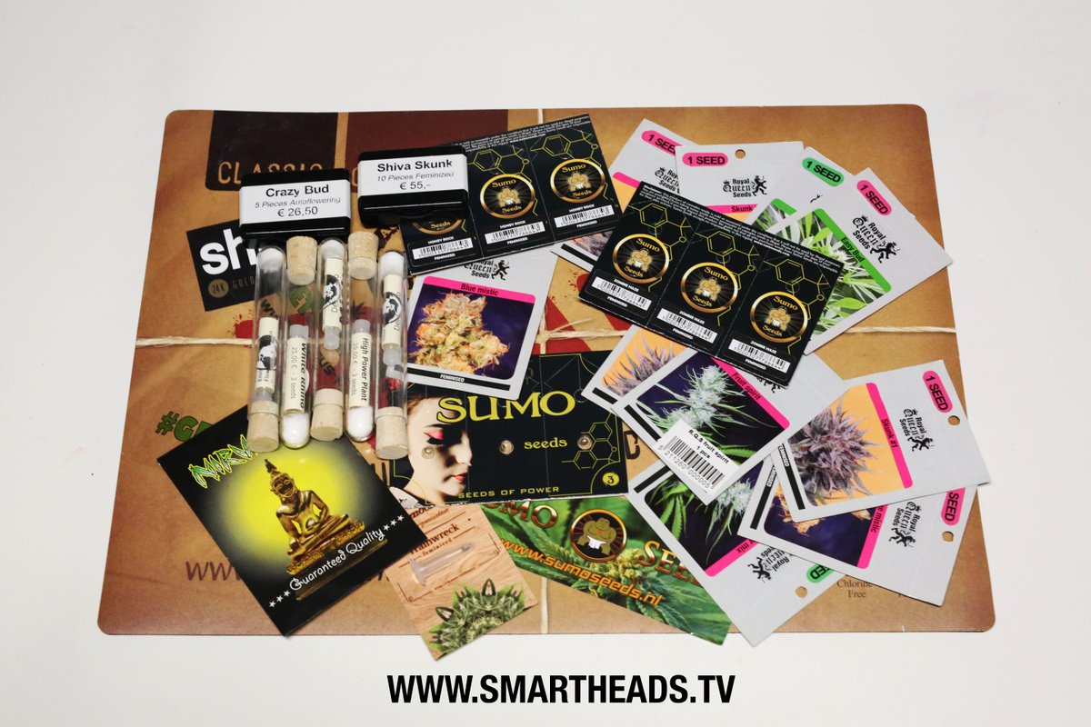 SumoSeeds's tweet photo. Want to win 450$ worth of seeds?
At 20.000 subscribers there will be one lucky winner! --> https://t.co/5tDUq74boz https://t.co/C0kEnzFMA3