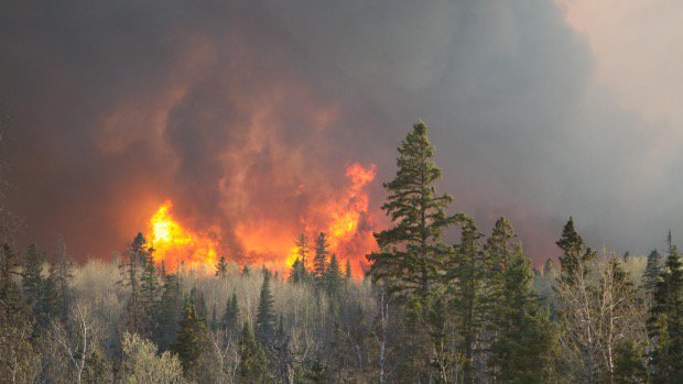 poc2484's tweet photo. Fort McMurray wildfires force evacuations
https://t.co/g0ySkjogzA https://t.co/R6f96hzOMn