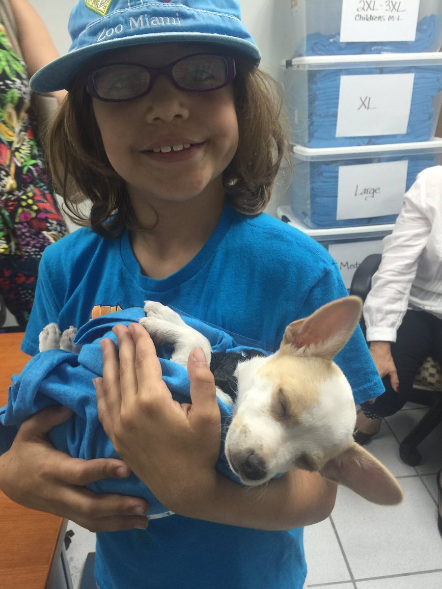 Dogs4FL27's tweet photo. More dogs joining the #ATeam welcome Leo to #FL26 Dogs 4 @Annette_Taddeo https://t.co/QJOQ2eP0IG