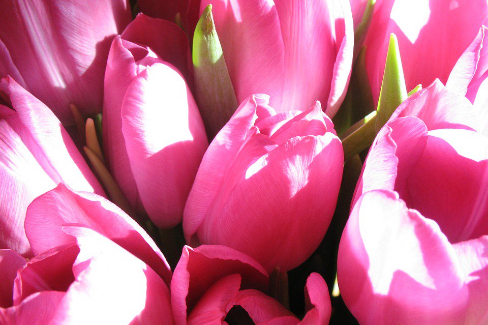 CoolRideLimo's tweet photo. 4 Mother's Day Gifts That Mom Is Sure to Love https://t.co/aAPq6Q2E3R https://t.co/KJd1Ig1mHn
