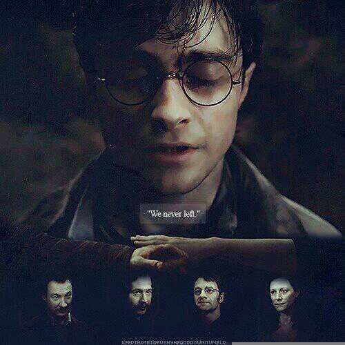 cycle_carnot's tweet photo. #18YearsBattleOfHogwarts https://t.co/8EUMSqkoUB