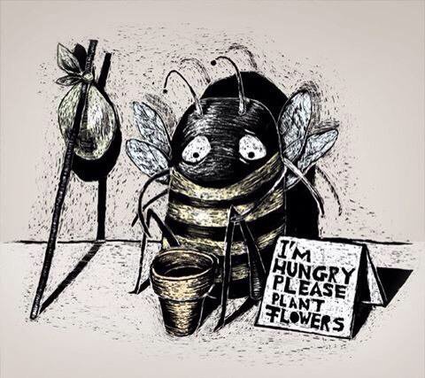 savethebuzzinc's tweet image. #savethebuzz#honey. #savethebees