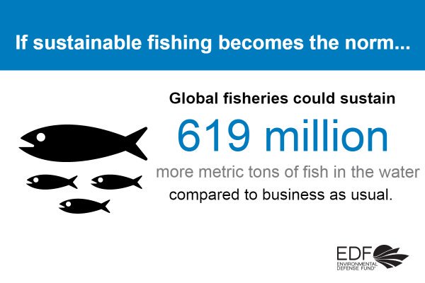 EnvDefenseFund's tweet photo. New report: With sustainable fishing, we could sustain 619 million more metric tons of fish. https://t.co/8GHo18Hgqq https://t.co/MMe0GSGdwV