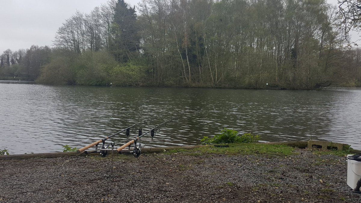 ByrnesyN1's tweet photo. Still playing the waiting game but they're showing over the spot🎣 #Carpfishing #thatscarpy #LegacyBaits #sharptackle https://t.co/Iy4CJWV2ig