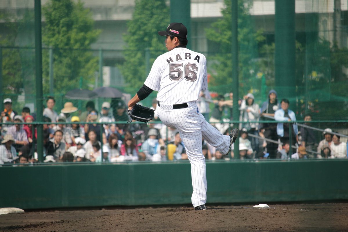 ruri3photo's tweet photo. [20160501 ロッテ浦和 FT戦]
原くん。ナイスピッチングでした\(❁´∀`❁)ﾉ https://t.co/xmchPsrU0H