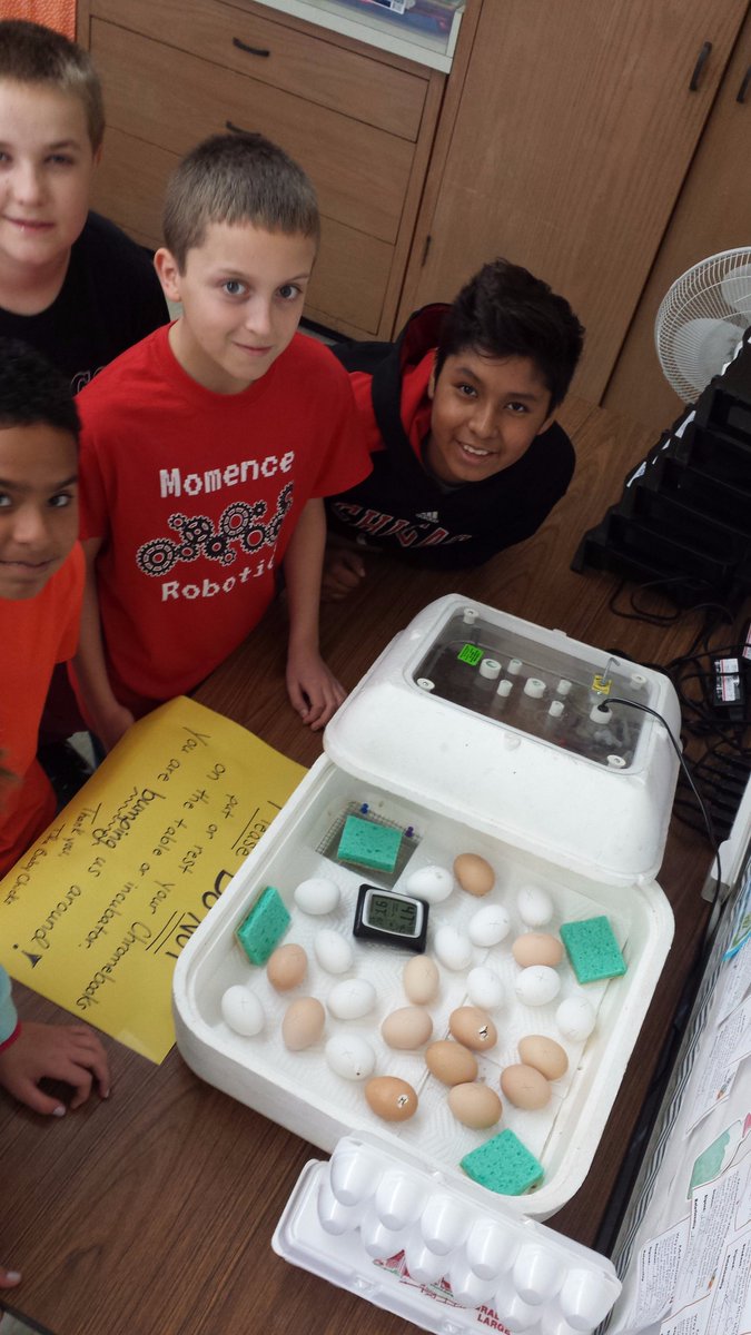 jmcdermitt1's tweet photo. The wait is over! 6th graders came in this morning to find our baby chicks are hatching! #goskins @Redskin_Heck https://t.co/MqH8E7yKzC