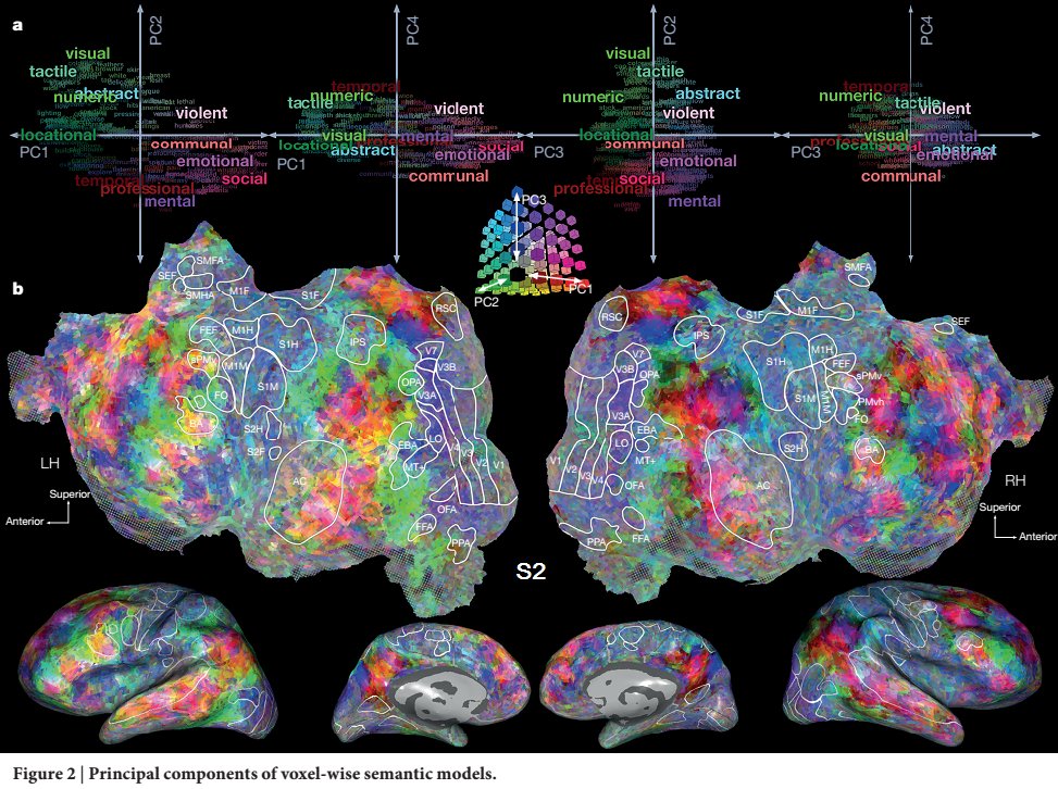 Discover Magazine (@discovermag) on Twitter photo A semantic map of the brain shows where different words live in our minds. bit.ly/1rqUPeo <a href="/Neuro_Skeptic/">Neuroskeptic 🇺🇦</a> A semantic map of the brain shows where different words live in our minds. bit.ly/1rqUPeo <a href="/Neuro_Skeptic/">Neuroskeptic 🇺🇦</a>