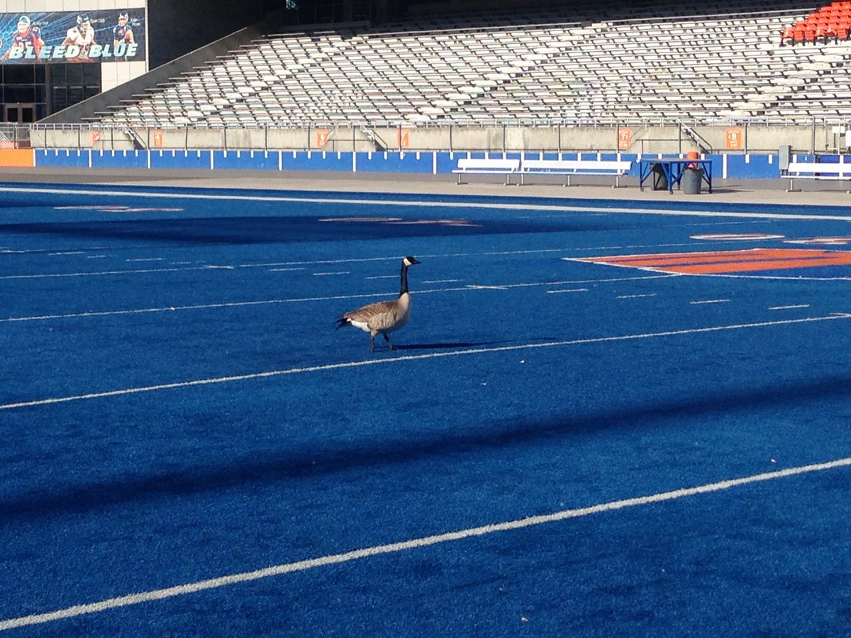 For the millionth time, it's not a lake, dude