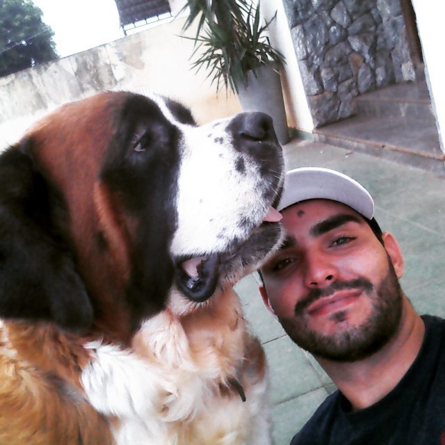 JackyMMontes's tweet photo. Boooom dia!!!
Uma otima semana para todos, cheia de coisas boas.
 #stbernard #stbernardlovers #saintbernard #saober… https://t.co/WJrmkoWYhC