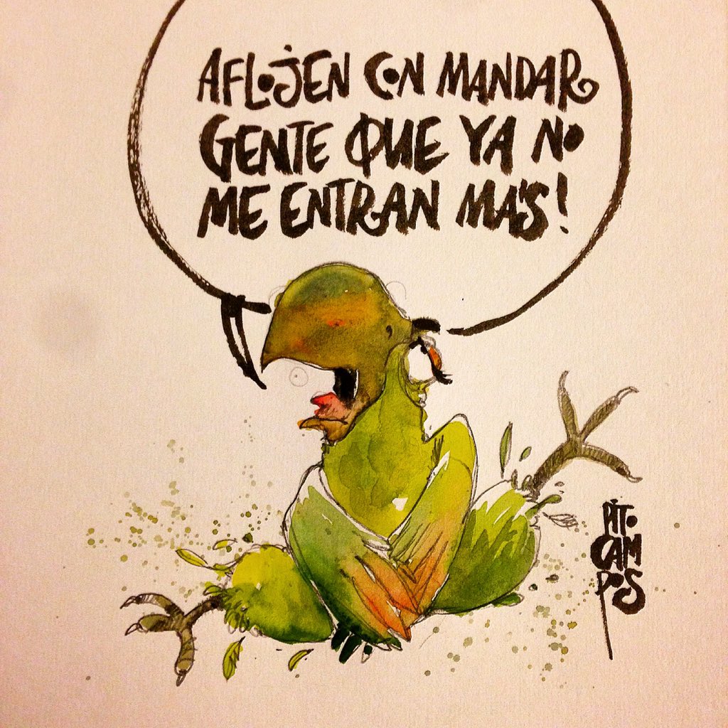 Daniel Pito Campos (@campospito) on Twitter photo 