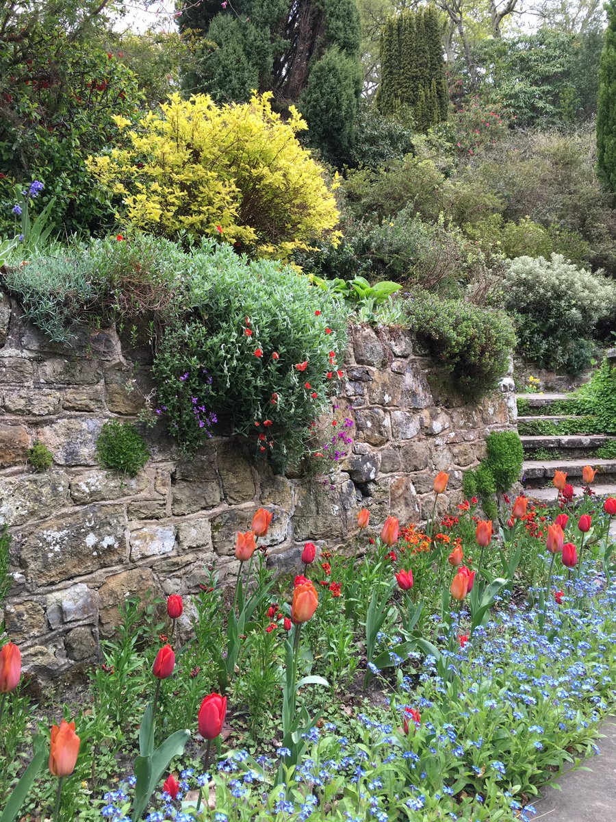 KF_TimHarriss's tweet photo. Beautiful gardens at Malthouse #Chithurst @SussexWestNGS @NGSOpenGardens @RogateVillage https://t.co/3BG2LlYa9i