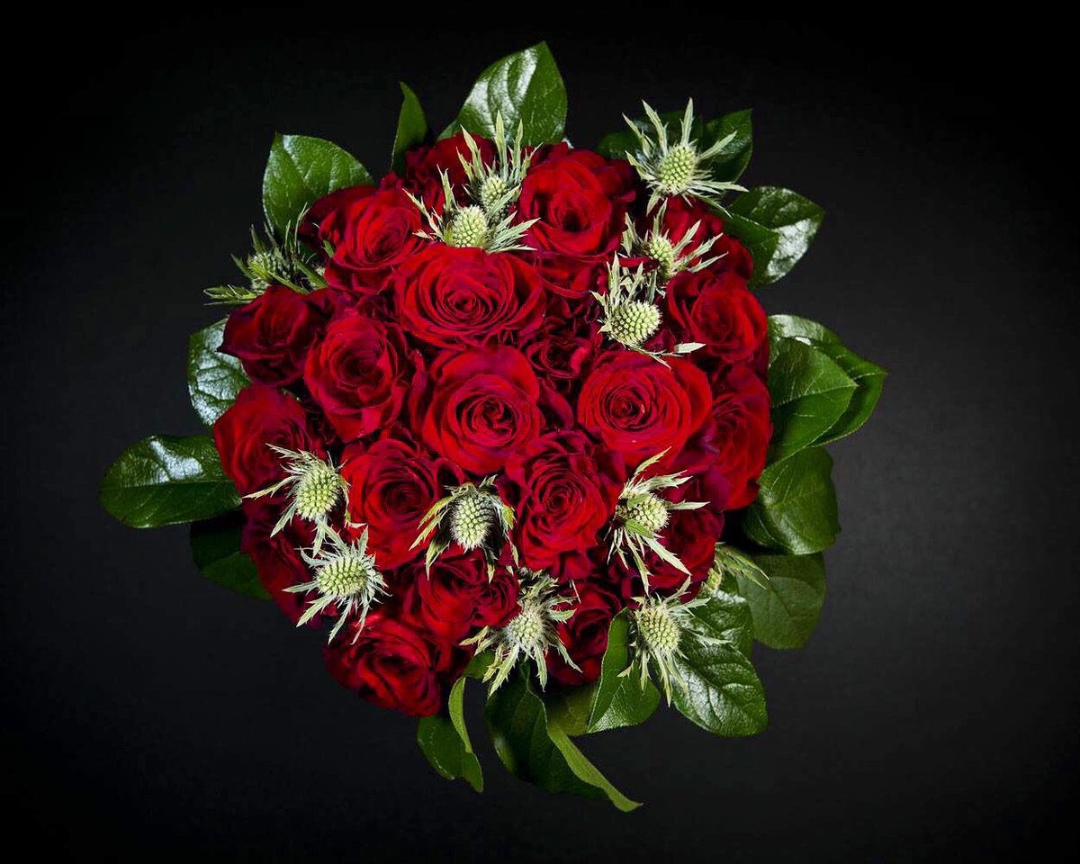 scfroma's tweet photo. #photoshooting #flowers #roses #flowersevents #antoniaincalza #scfroma #shooting https://t.co/YS7qcs6sZ4