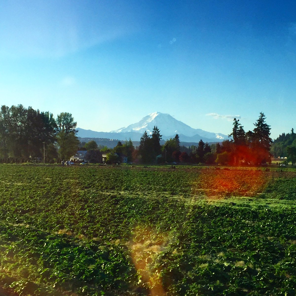 HelloAmyHoward's tweet image. Obligatory #MtRainier pic. Because #Washington. 😍 #PNW #bestcoast. #HappyMonday train ride. #WhyRushHour