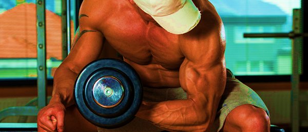 JeRameneLePain's tweet photo. Les hommes musclés sont-ils plus #virils ? à voir :
https://t.co/3sVgMSoR5g
#musculation #fitness https://t.co/Gn8Yl8k1JZ