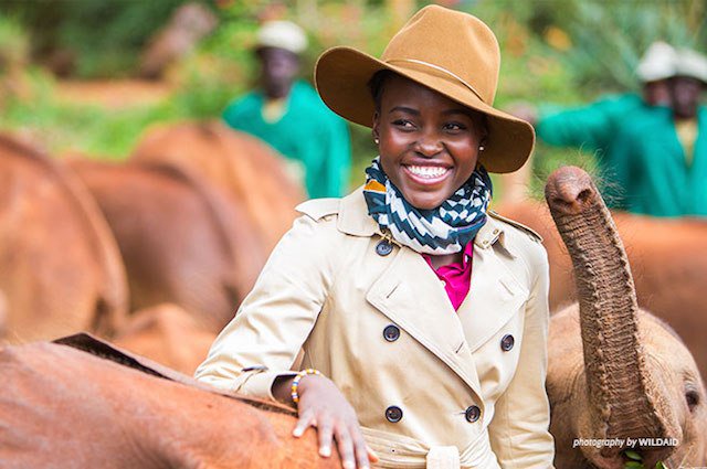 PlanetExperts's tweet image. RT for elephants! Lupita Nyong’o on Elephants: “Poaching Steals From Us All” bit.ly/1NiBpSY #JoinTheHerd